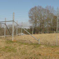 Louisiana Game Fence